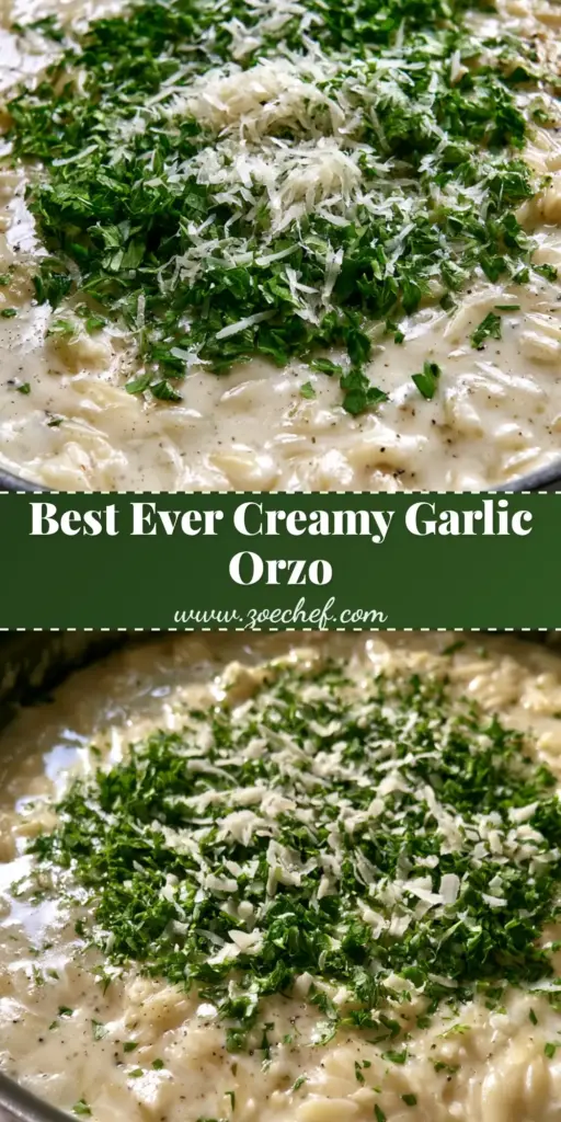 Creamy Garlic Parmesan Orzo: The Ultimate 20-Minute Skillet Side Dish 4 A top-down view of Creamy Garlic Parmesan Orzo in a dark metal skillet, featuring a thick glossy white sauce, fresh parsley, and cracked black pepper.